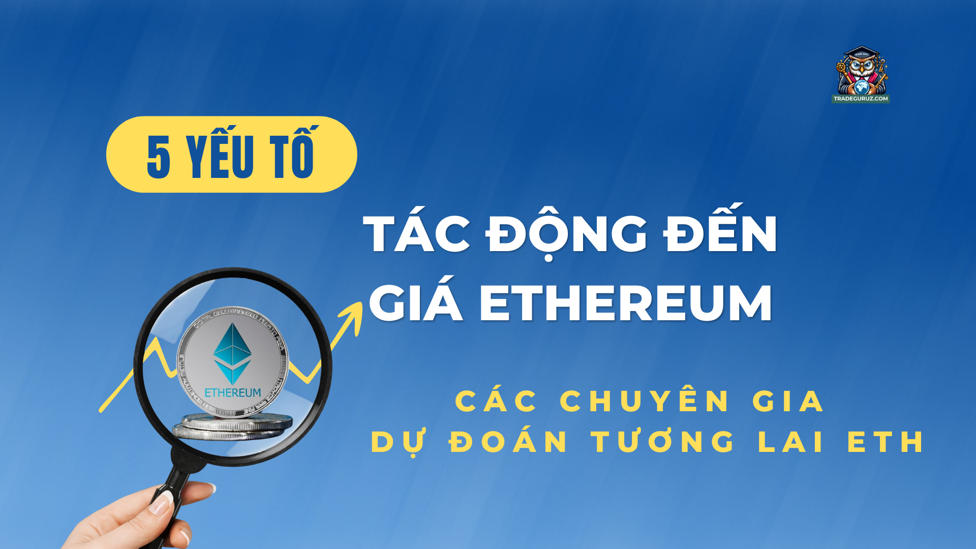 blog-image